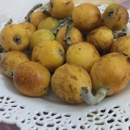 Sa Perda Lada * Fluminimaggiore