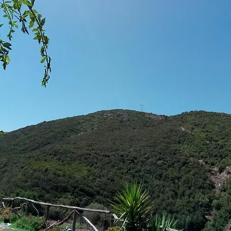 Sa Perda Lada Alloggio per agriturismo