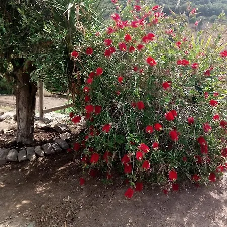 Alloggio per agriturismo Sa Perda Lada *