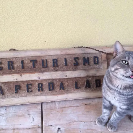 Sa Perda Lada Alloggio per agriturismo *