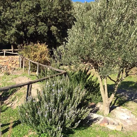 Sa Perda Lada Farm stay Fluminimaggiore