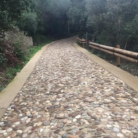 Sa Perda Lada Alloggio per agriturismo *