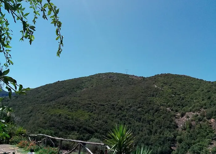 Sa Perda Lada ファームステイ