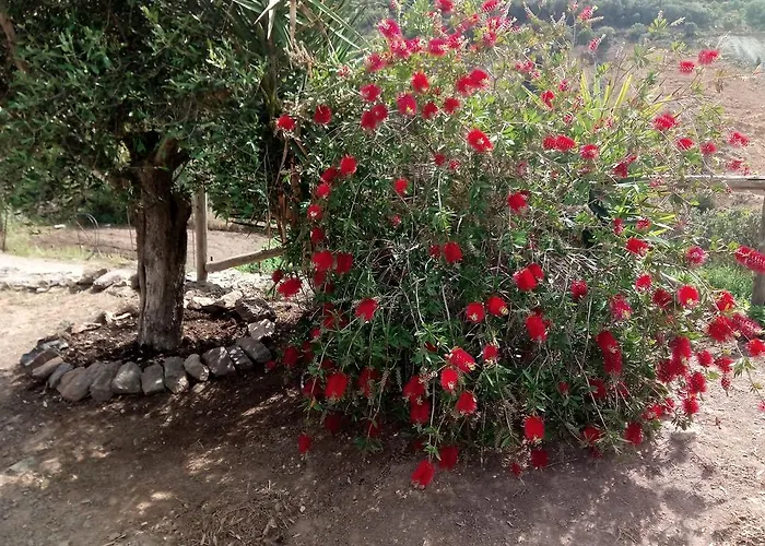 ファームステイ Sa Perda Lada *